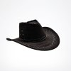 cowboyhat2