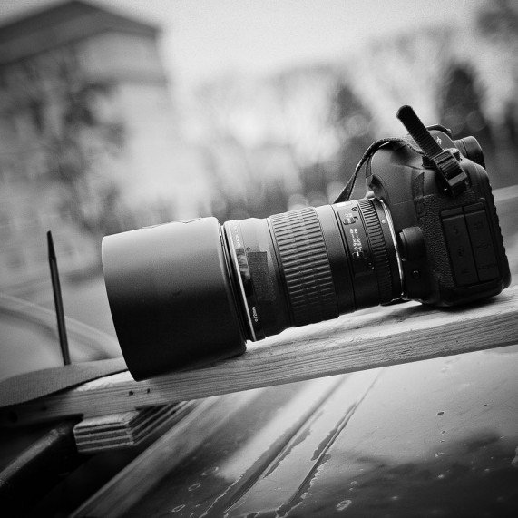 picjumbo.com_IMG_7925