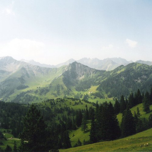 Sample Image Title
