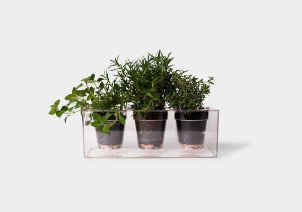 Green Plants