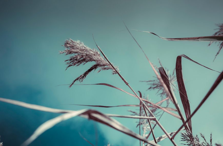 blog2
