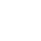 Social Icon 4