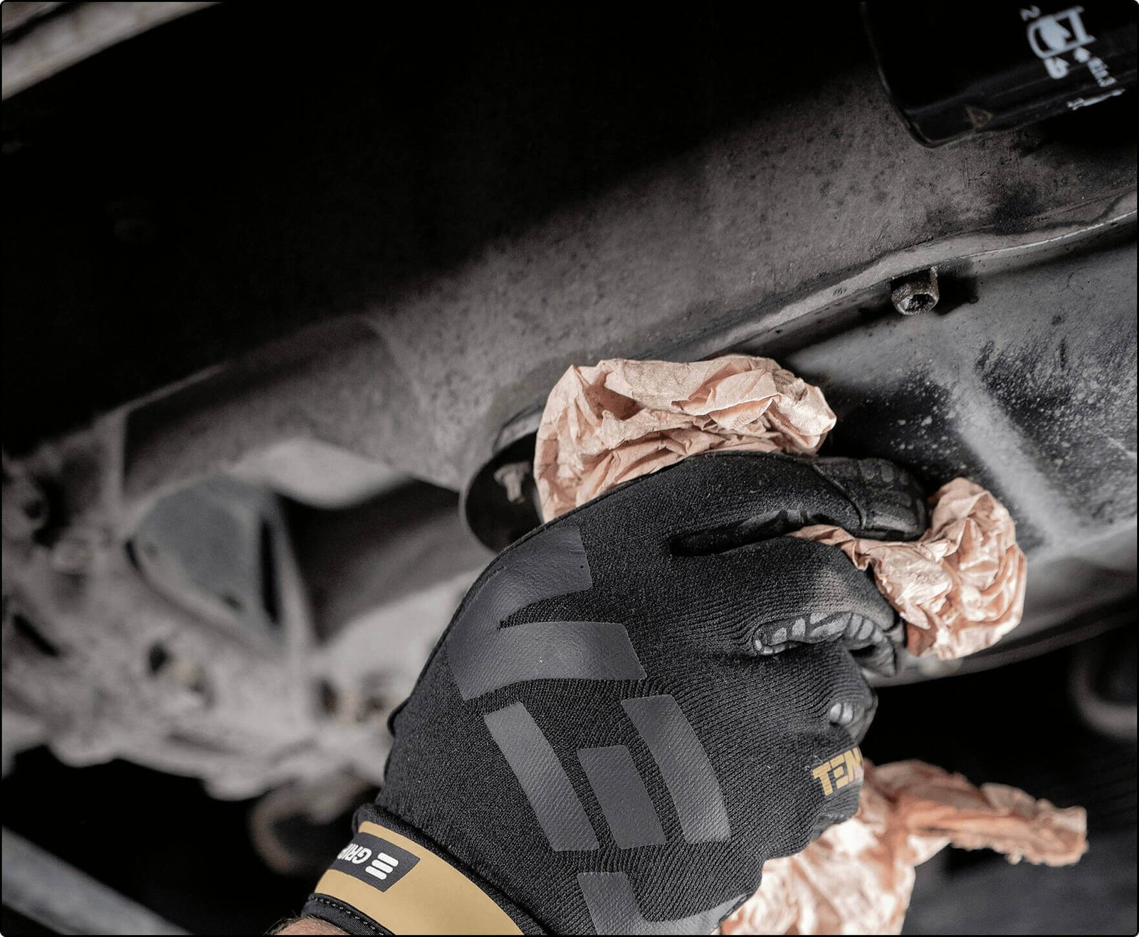 Harnessing the Power of Social Media Trends